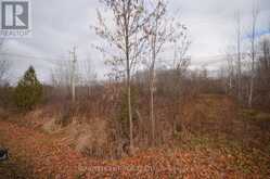0 LOCH GARRY ROAD | North Glengarry Ontario | Slide Image Two