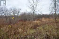0 LOCH GARRY ROAD | North Glengarry Ontario | Slide Image Nine