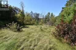 1031 LOOKOUT HILL ROAD | North Frontenac Ontario | Slide Image Thirteen