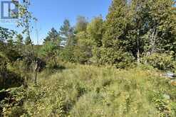 1031 LOOKOUT HILL ROAD | North Frontenac Ontario | Slide Image Nine