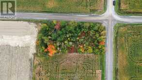 0 CONCESSION 9 | Alfred and Plantagenet Ontario | Slide Image Nine