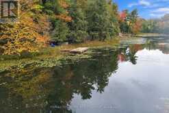 755 INDIAN LAKE ROAD N | Rideau Lakes Ontario | Slide Image Sixteen