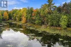 755 INDIAN LAKE ROAD N | Rideau Lakes Ontario | Slide Image Seventeen