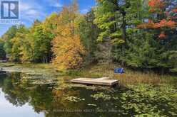755 INDIAN LAKE ROAD N | Rideau Lakes Ontario | Slide Image Nineteen