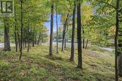 755 INDIAN LAKE ROAD N | Rideau Lakes Ontario | Slide Image Six