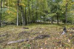 755 INDIAN LAKE ROAD N | Rideau Lakes Ontario | Slide Image Eight