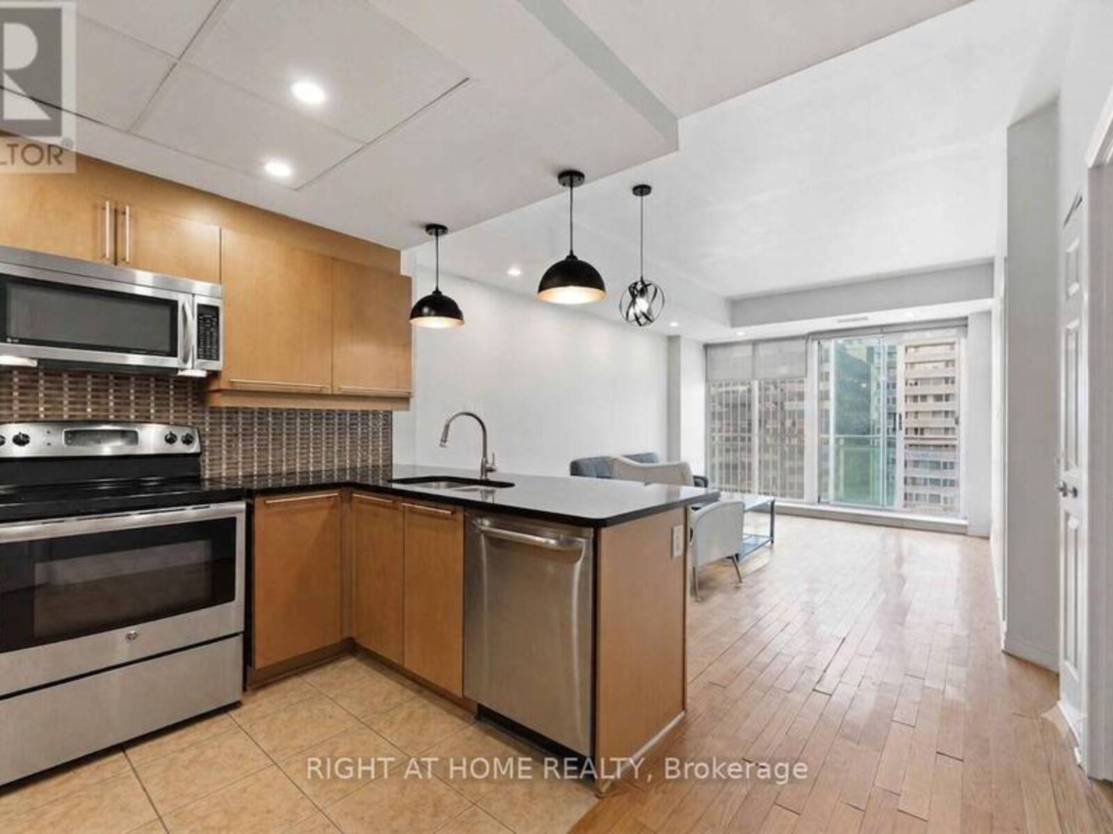 1009 - 134 YORK STREET, Ottawa, Ontario K1N 1K8