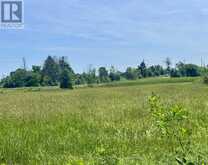 00 COUNTY ROAD 8 ROAD E | Elizabethtown-Kitley Ontario | Slide Image Five