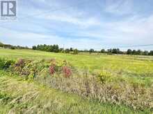 00 COUNTY ROAD 1 ROAD | Elizabethtown-Kitley Ontario | Slide Image Three