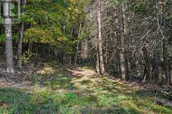 00 FALLBROOK ROAD | Tay Valley Ontario | Slide Image Six