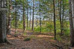 00 FALLBROOK ROAD | Tay Valley Ontario | Slide Image Eight