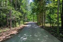 14930 CONCESSION 10-11 ROAD | North Stormont Ontario | Slide Image Three