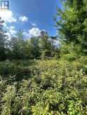 LOT 7&8 POND ROAD | Tay Valley Ontario | Slide Image Twelve