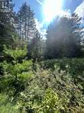 LOT 7&8 POND ROAD | Tay Valley Ontario | Slide Image Thirteen