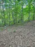 LOT 7&8 POND ROAD | Tay Valley Ontario | Slide Image Fifteen