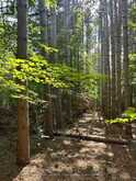 LOT 7&8 POND ROAD | Tay Valley Ontario | Slide Image Four