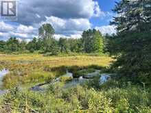LOT 7&8 POND ROAD | Tay Valley Ontario | Slide Image Eight