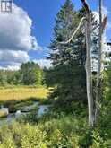 LOT 7&8 POND ROAD | Tay Valley Ontario | Slide Image Nine