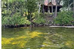 1 BUTTERFIELD ISLAND | Rideau Lakes Ontario | Slide Image Eleven
