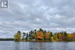 1 BUTTERFIELD ISLAND | Rideau Lakes Ontario | Slide Image Two