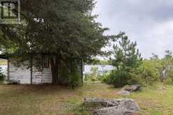 1 BUTTERFIELD ISLAND | Rideau Lakes Ontario | Slide Image Thirty-one