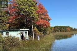 1 BUTTERFIELD ISLAND | Rideau Lakes Ontario | Slide Image Thirty-two