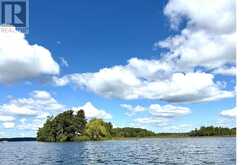 1 BUTTERFIELD ISLAND | Rideau Lakes Ontario | Slide Image Thirty-three