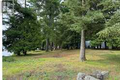 1 BUTTERFIELD ISLAND | Rideau Lakes Ontario | Slide Image Thirty-eight