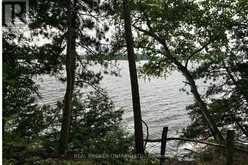 1 BUTTERFIELD ISLAND | Rideau Lakes Ontario | Slide Image Thirty-nine