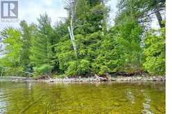 1 BUTTERFIELD ISLAND | Rideau Lakes Ontario | Slide Image Forty-two