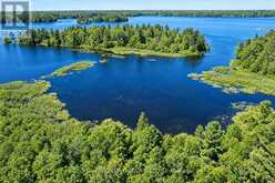 1 BUTTERFIELD ISLAND | Rideau Lakes Ontario | Slide Image Forty-four