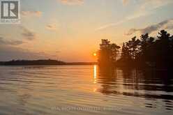 1 BUTTERFIELD ISLAND | Rideau Lakes Ontario | Slide Image Forty-seven