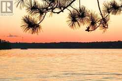 1 BUTTERFIELD ISLAND | Rideau Lakes Ontario | Slide Image Forty-eight