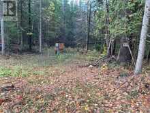 939 DARLING ROAD | Lanark Highlands Ontario | Slide Image Two