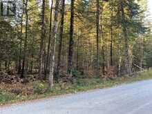 939 DARLING ROAD | Lanark Highlands Ontario | Slide Image Six