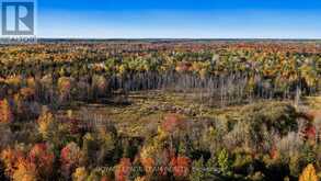 1861 BEARHILL ROAD | Ottawa Ontario | Slide Image Eight