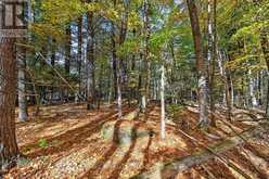00 FORTUNE LINE ROAD | Leeds and the Thousand Islands Ontario | Slide Image Thirty-one