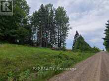 20 PEPLINSKIE HOMESTEAD ROAD | Madawaska Valley Ontario | Slide Image Twelve