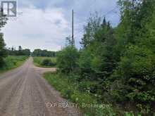 20 PEPLINSKIE HOMESTEAD ROAD | Madawaska Valley Ontario | Slide Image Fourteen