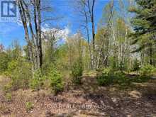 LOT 15 SANDY SHORES TRAIL | Renfrew Ontario | Slide Image Ten