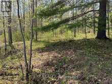 LOT 15 SANDY SHORES TRAIL | Renfrew Ontario | Slide Image Four