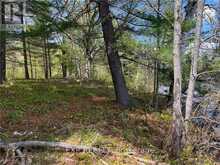 LOT 15 SANDY SHORES TRAIL | Renfrew Ontario | Slide Image Six