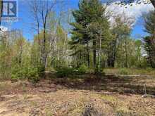 LOT 15 SANDY SHORES TRAIL | Renfrew Ontario | Slide Image Nine