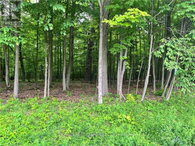 LOT 1 POINT ROAD Lanark Highlands Ontario, K0A 3L0 - Vacant Land For Sale