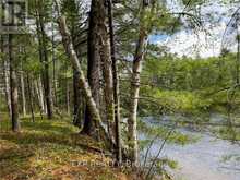 LOT 34 SANDY SHORES TRAIL | Renfrew Ontario | Slide Image Nine