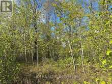 LOT 6 CASSON TRAIL | Madawaska Valley Ontario | Slide Image One