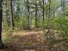 LOT 40 SANDY SHORES TRAIL | Renfrew Ontario | Slide Image Six