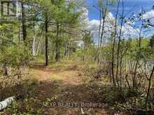 LOT 40 SANDY SHORES TRAIL | Madawaska Valley Ontario | Slide Image Four