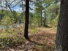 LOT 40 SANDY SHORES TRAIL | Madawaska Valley Ontario | Slide Image Five