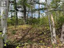 LOT 40 SANDY SHORES TRAIL | Madawaska Valley Ontario | Slide Image Seven